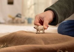 Schleich 14893 Animal - Sele mangalica