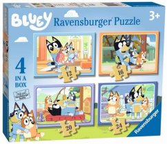 Bluey 4in1