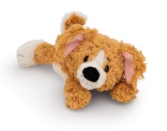 NICI pluș Câine maro 20cm, culcat verde