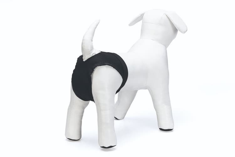 Beeztees Nylonové hárací kalhotky Černá L