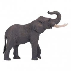 Eléphant Mojo africain