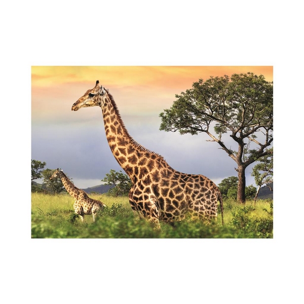 Famiglia Dino Giraffe 1000 puzzle