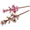 LEGO® Fleurs de cerisier