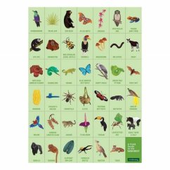 Mudpuppy Puzzle Search in the rainforest (Recherche d'énigmes dans la forêt tropicale)