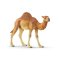 Schleich 14832 Dromedár