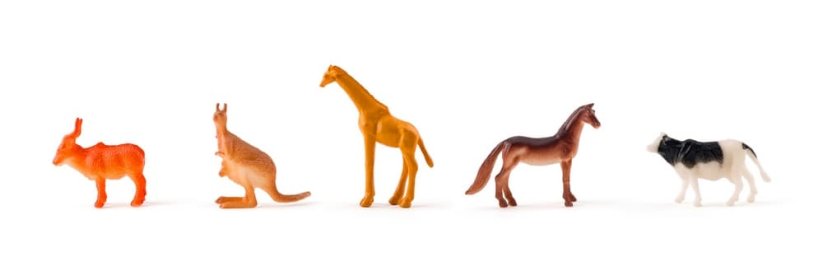 Adventní kalendář, Planeta zvířat