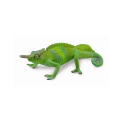 Caméléon bicorne du Cameroun