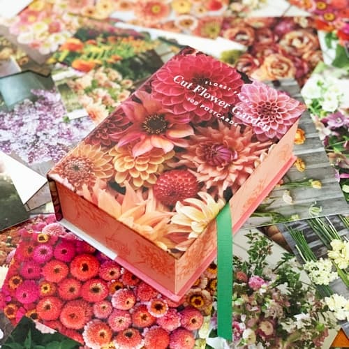 Chronicle Books Bouquets de la ferme des fleurs 100 cartes postales