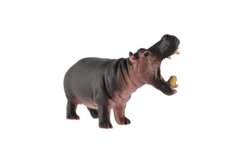 Hipopotam zootechniczny