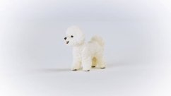 Schleich 13963 Bichon Frise