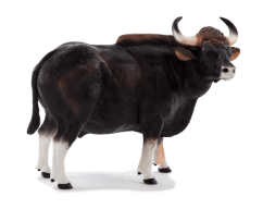 Taureau Mojo Gaur