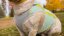 RUFFWEAR Swamp Cooler Zip™ Chladící vesta pro psy Blue Mist M