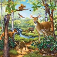 RAVENSBURGER-animali domestici 3 x 49d - puzzle