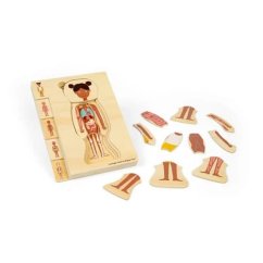 Bigjigs Toys fa puzzle anatómia lány