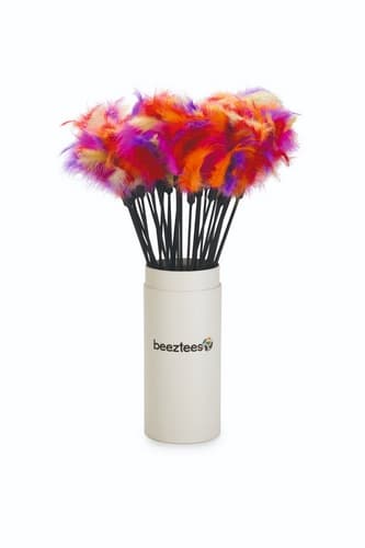 Beeztees Hračka škádlítko pro kočky s pírky 45cm