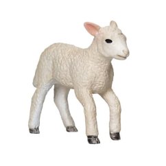 Mojo Lamb Romney Marsh alergând
