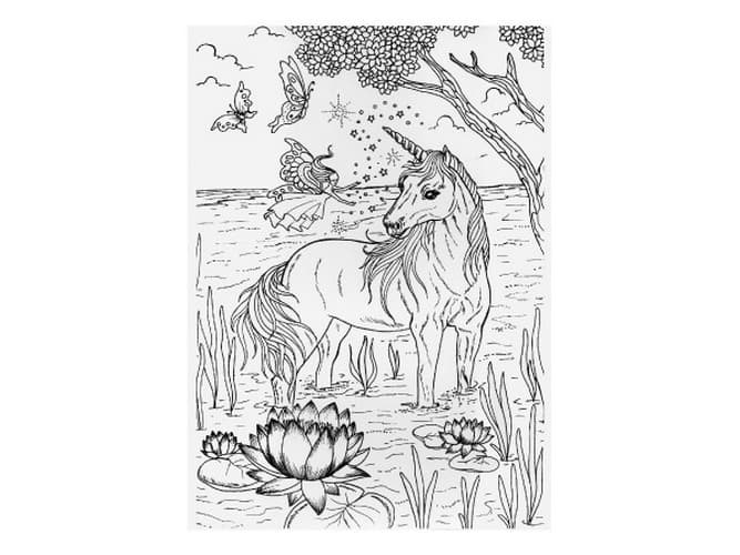 Livre de coloriage anti-stress Licornes 21x29cm