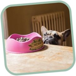 Miska pro psa, BecoBowl, EKO-pink-L