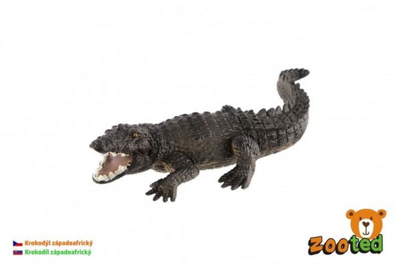 Crocodile zoo d'Afrique de l'Ouest