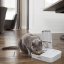 PetSafe® Krmítko Automatic 2 Meal Pet Feeder