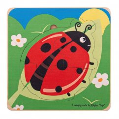 Bigjigs Toys Ladybug Life Cycles Insert Puzzle