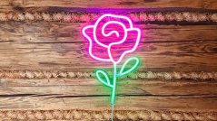 2Kids Toys LED NEON LIGHT lampička Růže