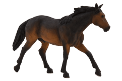 Mojo Quarter horse bay