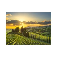 Puzzle Maremma Vineyard 500 xl piese