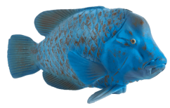 Mojo the Greenish Mouse