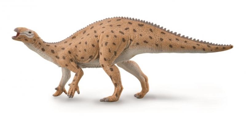 Collezione Fukuisaurus