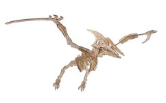Woodcraft Puzzle 3D din lemn Pterosaur