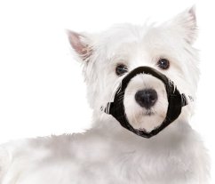 Karlie Náhubek pro psa nylon S, obvod tlamy 17cm