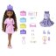 BARBIE DREAM BESTIES PANENKA S DOPLŇKY - BROOKLYN