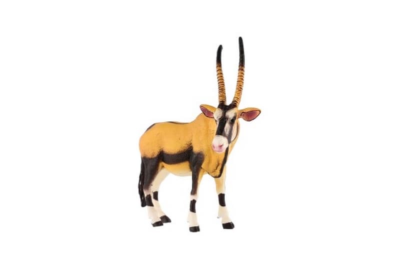 Antilopa pouštní zooted