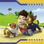 Puzzle Ravensburger Paw Patrol: Eroi pelosi 3x49 pezzi