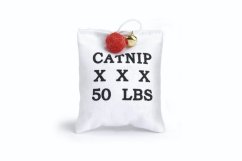 Beeztees Hračka pro kočky polštář LOVE 10cm