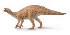 Collezione Fukuisaurus