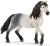 Chevaux