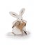Doudou Coffret cadeau - Lapin en peluche avec crapaudine 25 cm beige