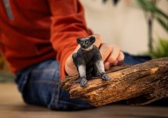 Animal de companie - Indri