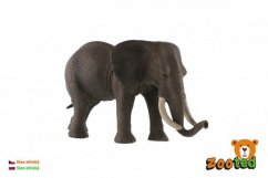 Slon africký zooted