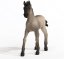 Schleich 13949 Animal Foal Criollo Definitivo