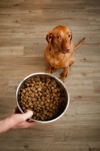 ALMI Medium Junior 12kg