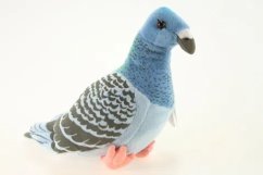 Pluszowy gołąb