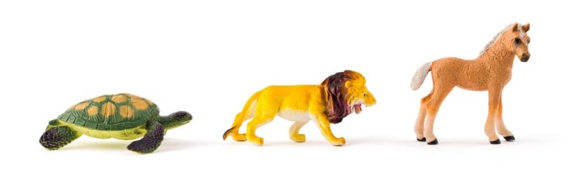 Adventní kalendář, Planeta zvířat