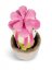 NICI pluszowy kwiat Amalia, rozchodnik 18 cm, ZIELONY