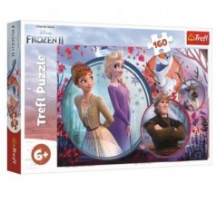 Puzzle Ľadové kráľovstvo II/Frozen II 160 dielikov 41x27,5cm v krabici 29x19x4cm