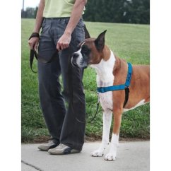 PetSafe® Postroj EasyWalk Deluxe modrý velikost L