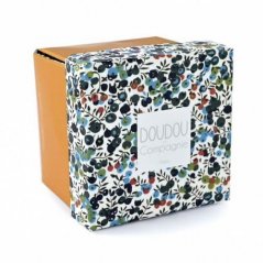 Doudou Coffret cadeau - lionceau avec couverture 12 cm