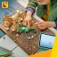 Lego 31386 Creator Divoká zvířata: Majestátní lev